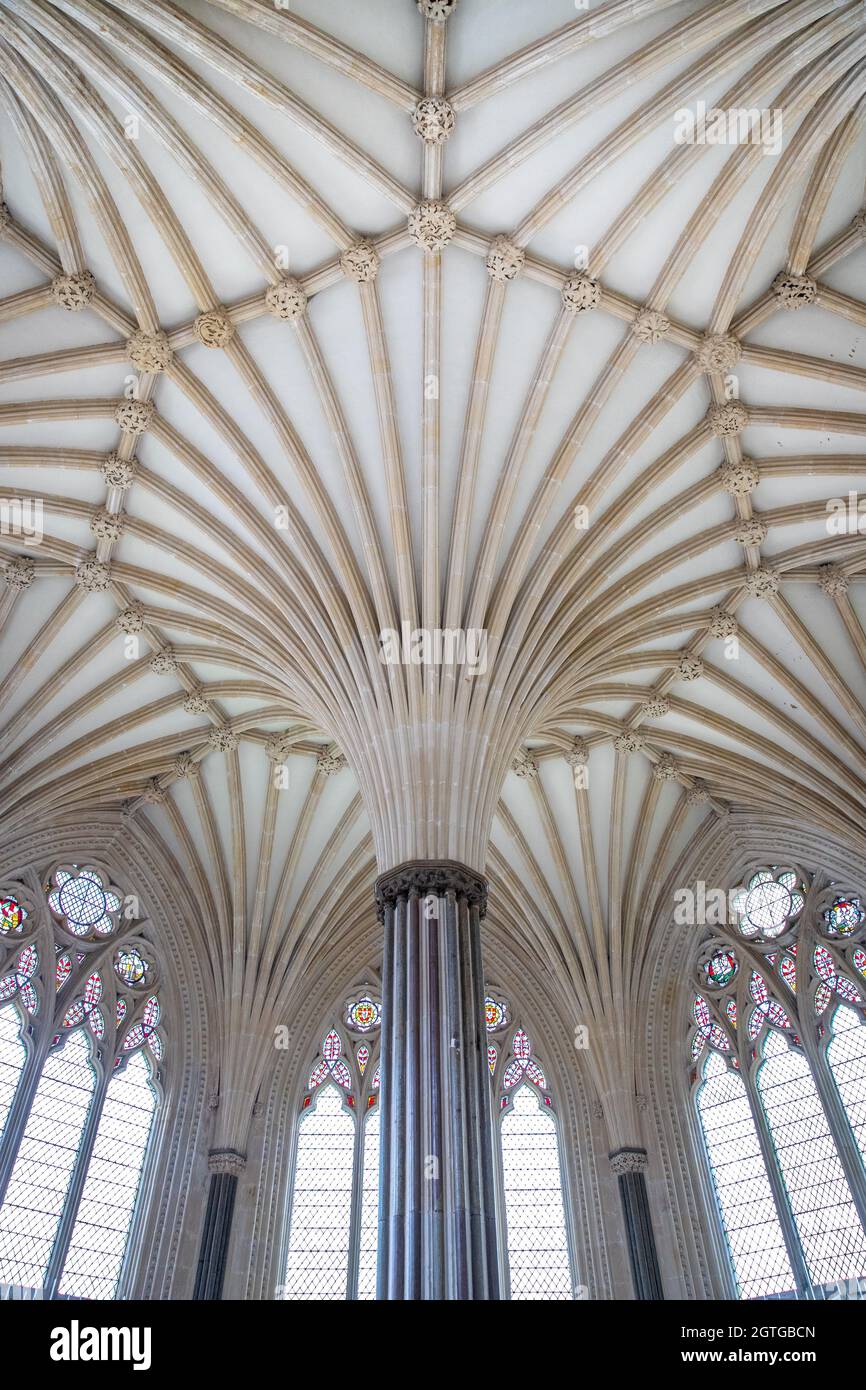 Decke des Kapitelraums, Wells Cathedral Stockfoto
