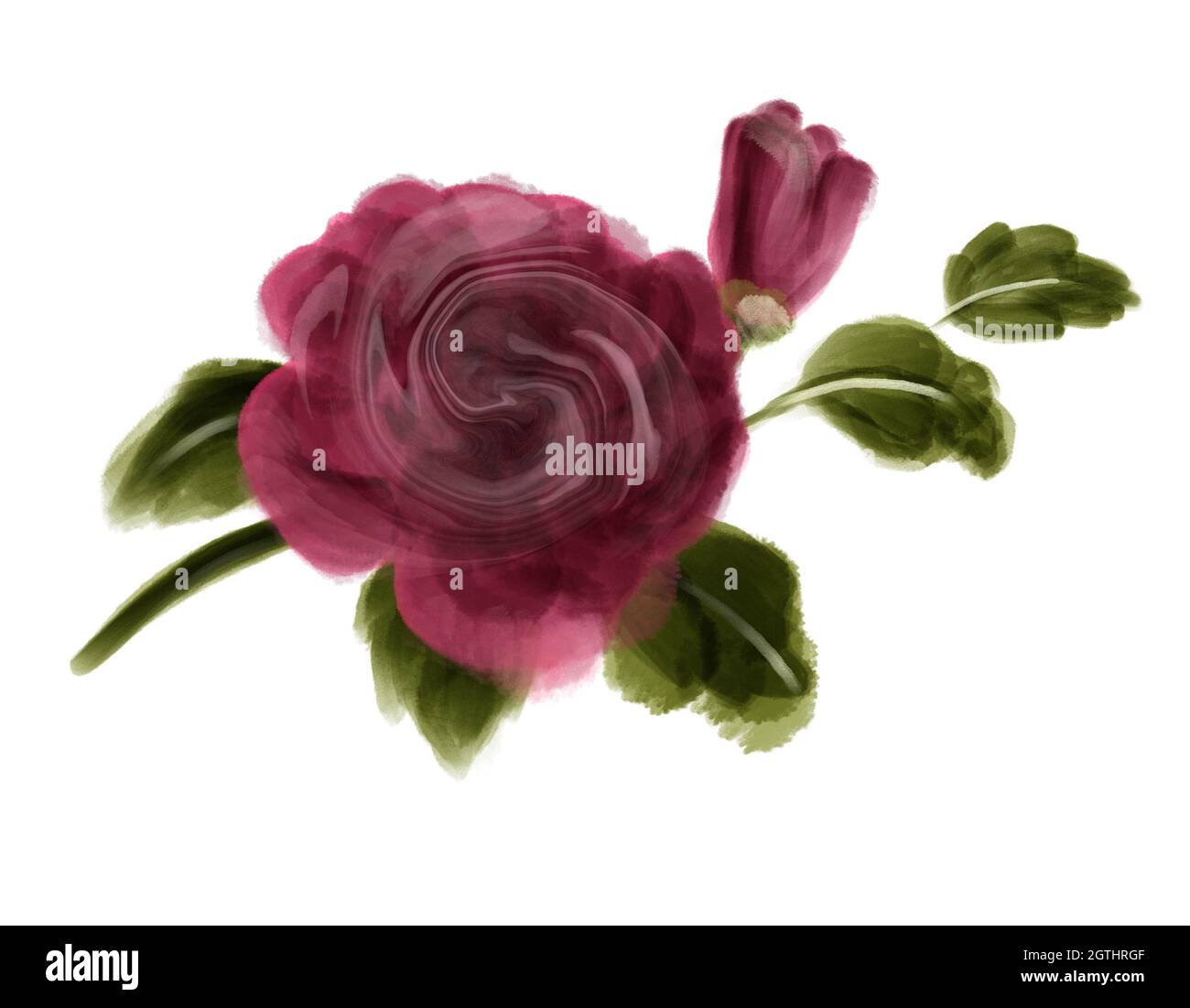 Aquarell Rose Flowers Illustratio. Florale Illustration, Blatt und Knospen. Stockfoto