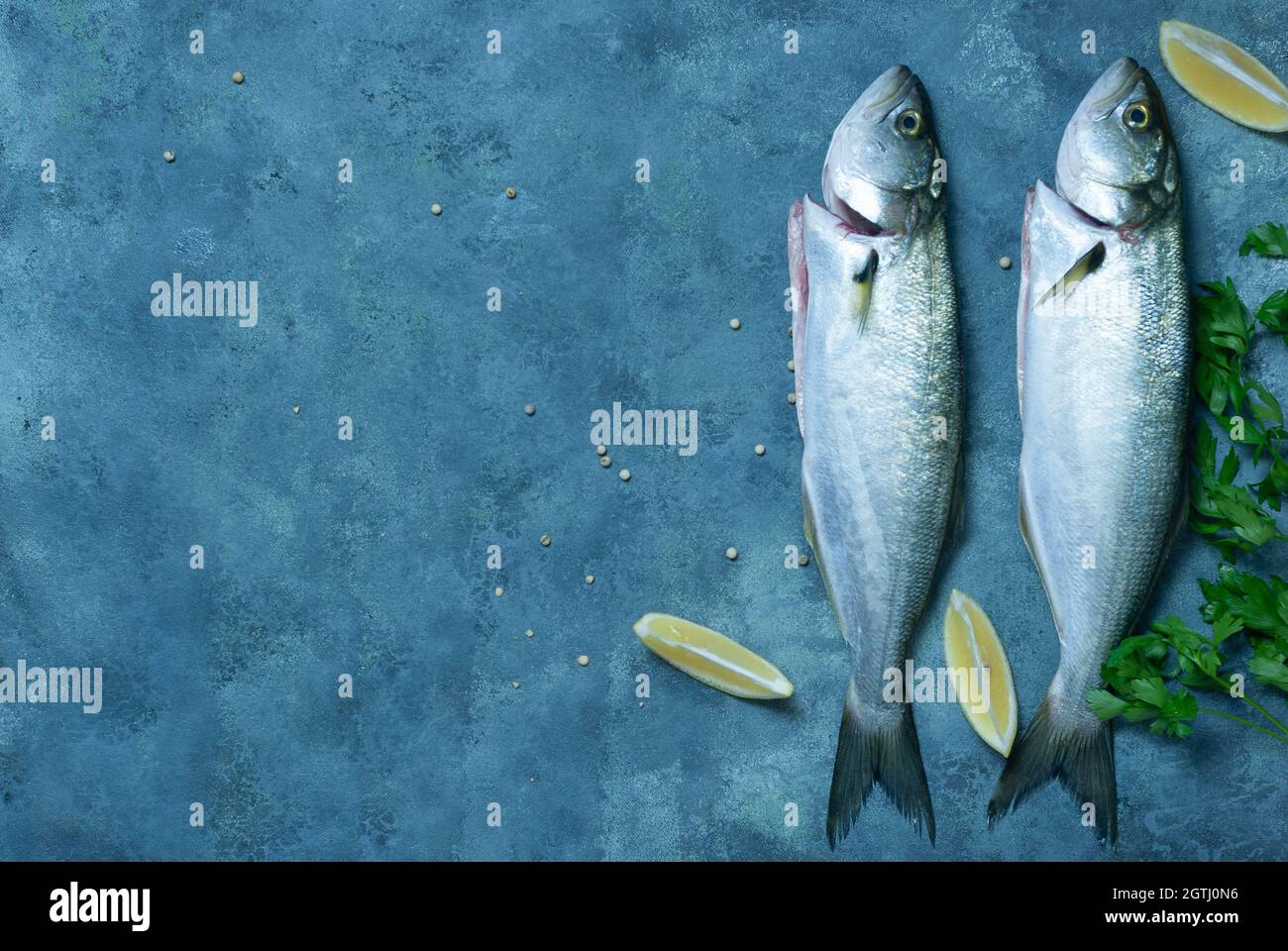 Blauer Fisch mit Kopierplatz Stockfoto