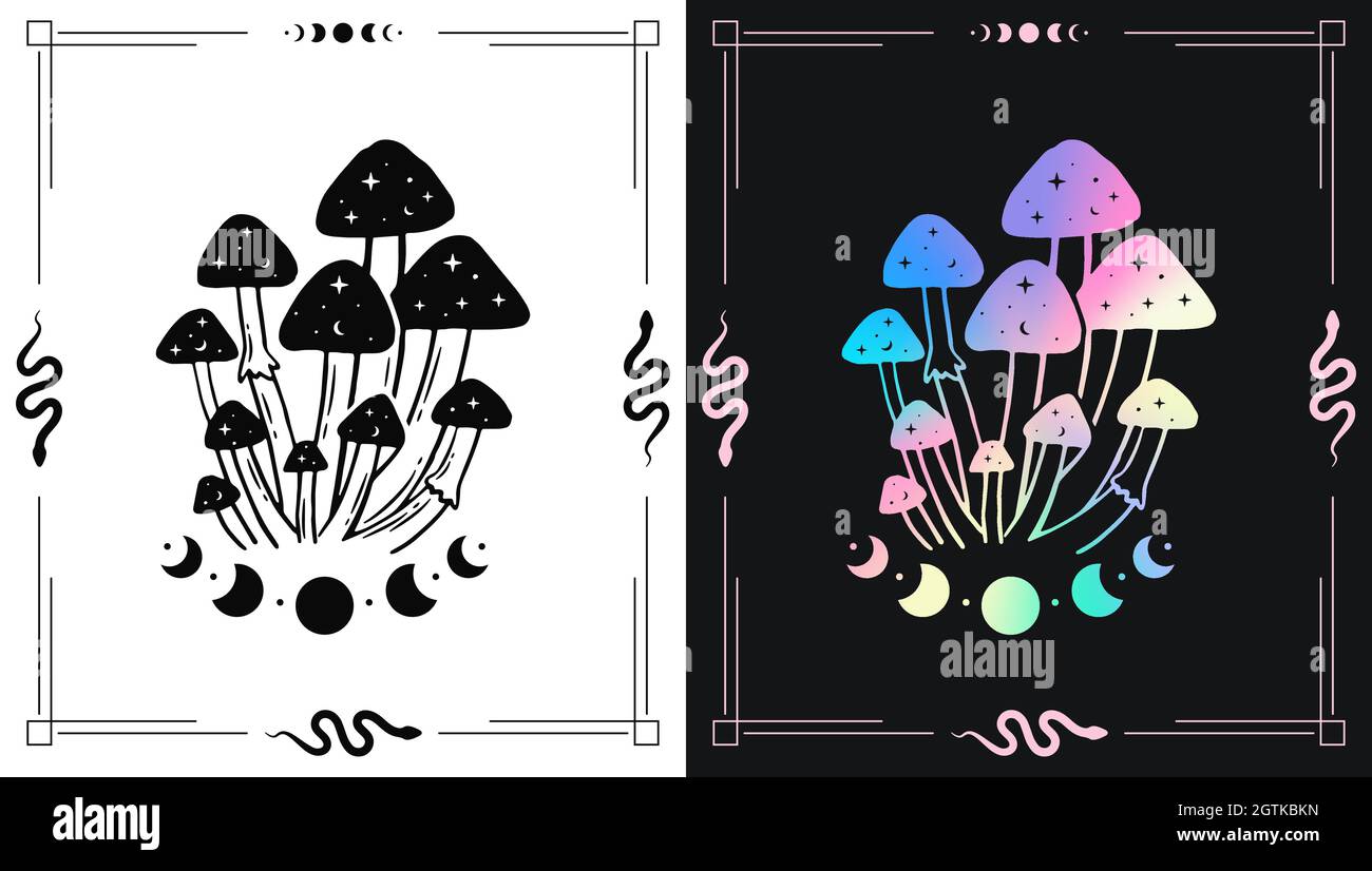 Set mit bunten und schwarz-weißen Illustrationen mit magischen Pilzen und Mond für esoterische Themendesigns Stock Vektor