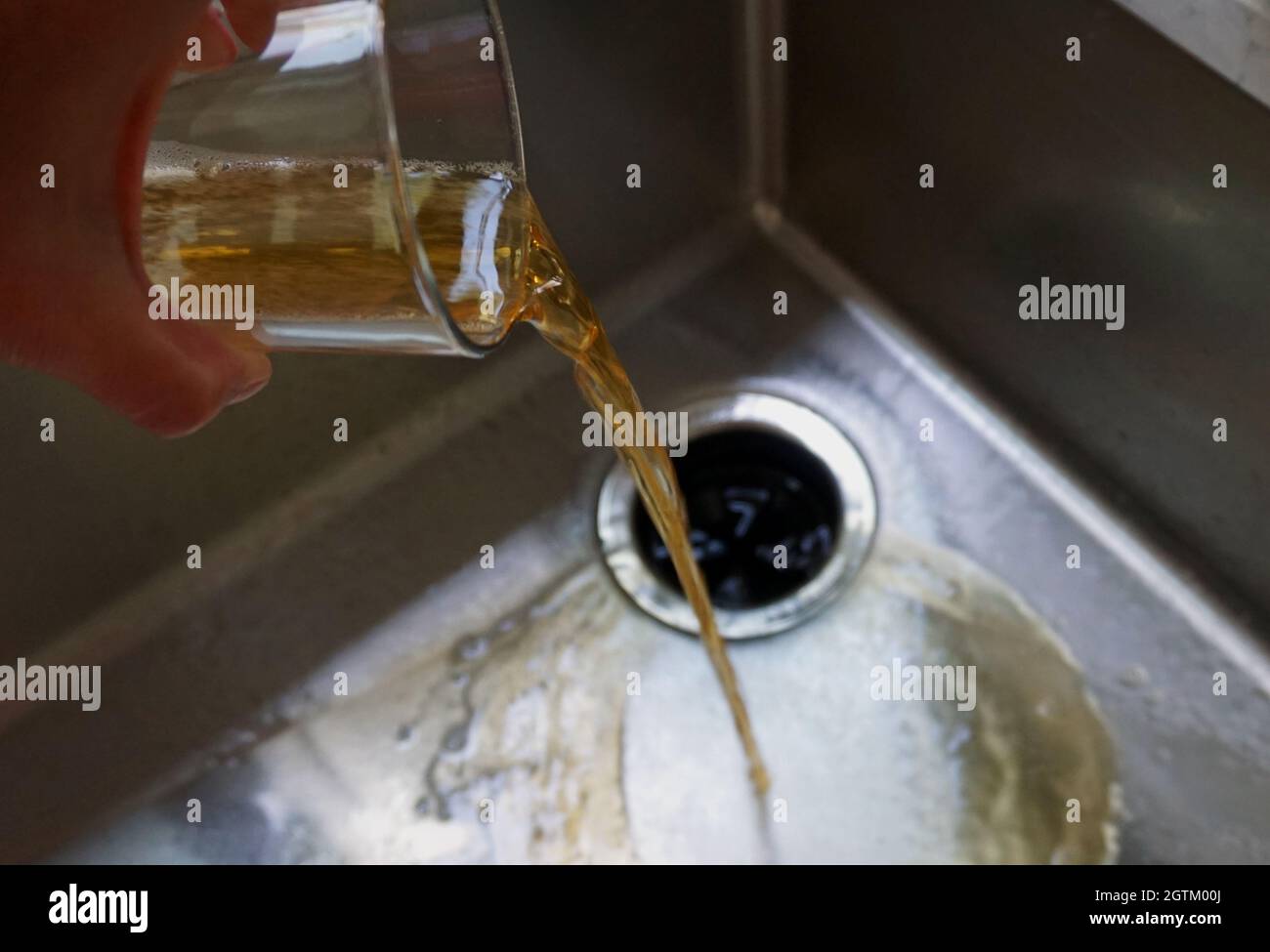 Bier zu Beginn des nüchternen Oktober oder des trockenen Januars, einem Monat der Abstinenz vom Alkohol, in den Abfluss gießen Stockfoto