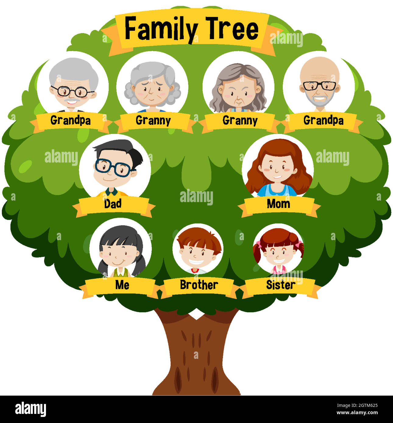 Diagramm, das den Stammbaum der Familie drei Generationen zeigt Alamy