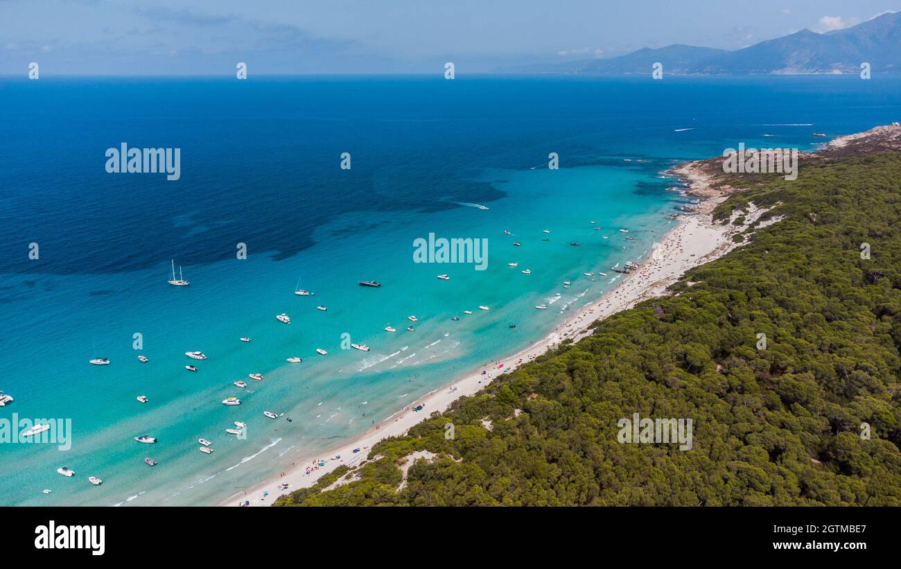 Luftaufnahme des Strandes von Saleccia in der Wüste Agriates auf Korsika, Frankreich - paradiesischer Strand im Mittelmeer mit tropischem Wasser, nur nach Stockfoto