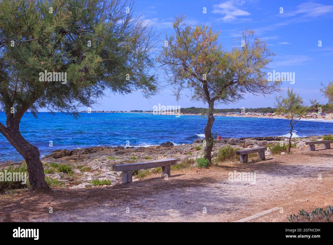 Die schönsten Strände Italiens: Punta Prosciutto in Apulien. Die Küste ist ein Paradies im Herzen des Salento. Stockfoto