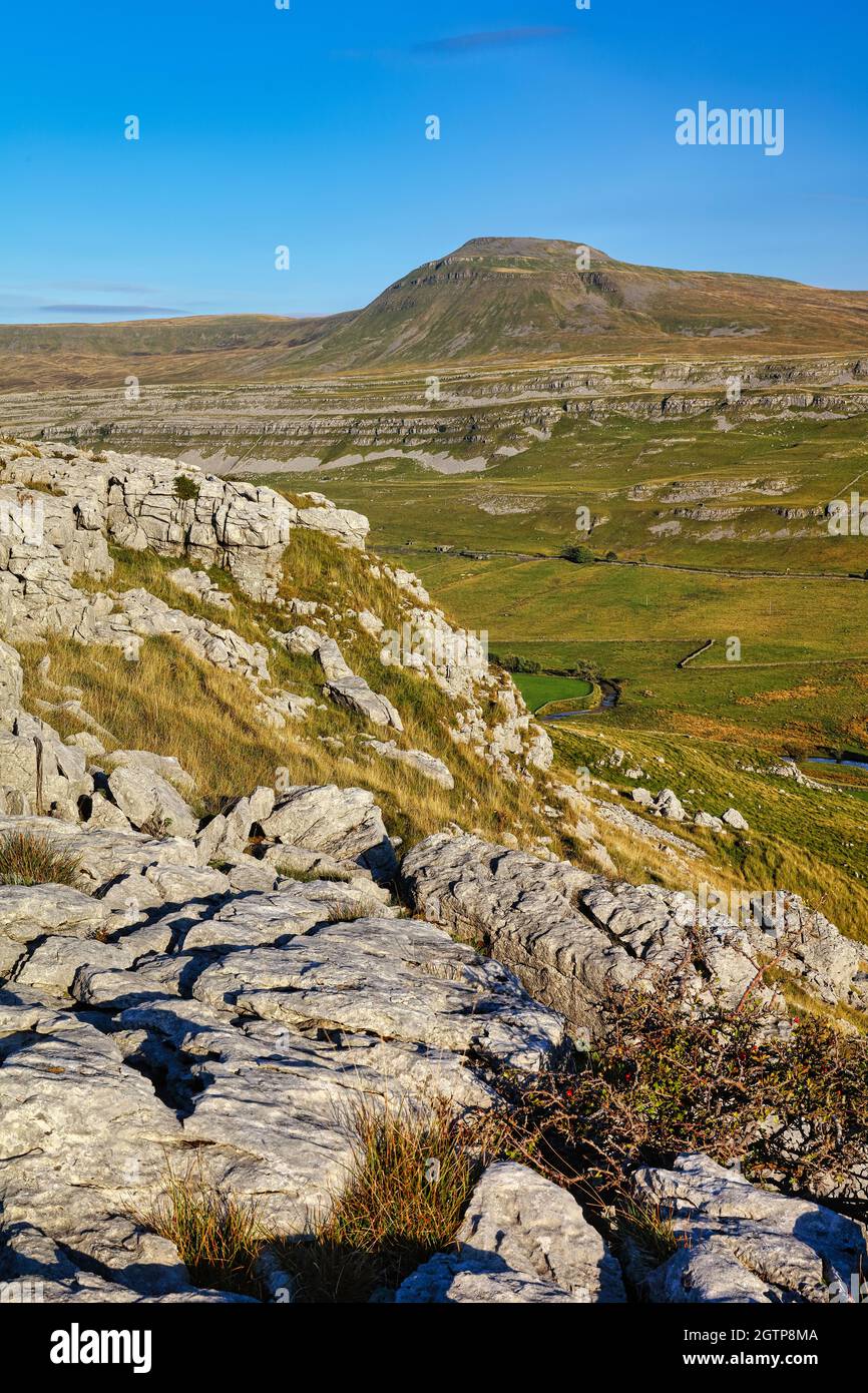 Bild von Kalksteinpflaster und Ingleborough im Yorkshire Dales National Park, England, Großbritannien. Stockfoto