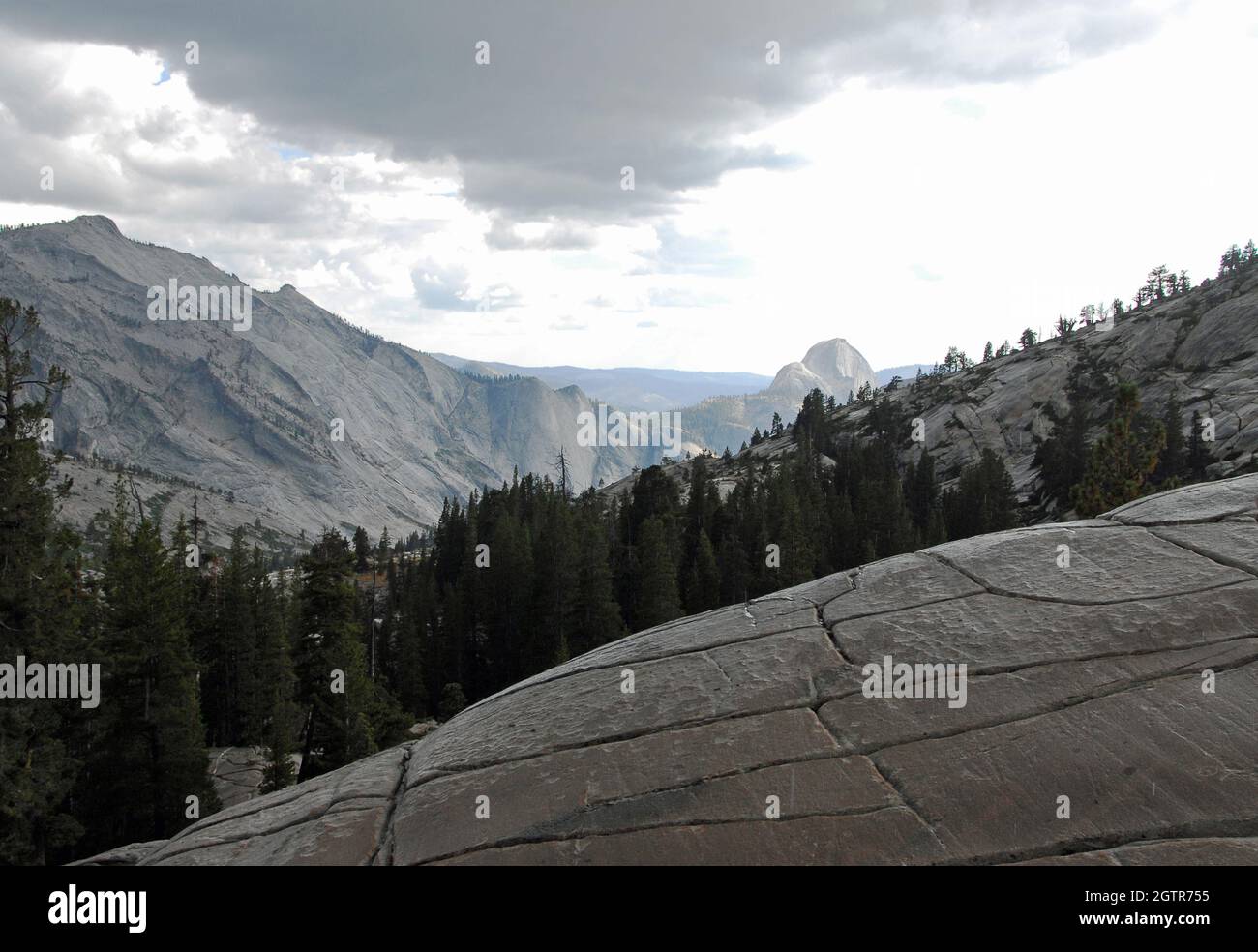Der Halfdome aus Olmsted Point, Yosemite, Kalifornien, USA Stockfoto