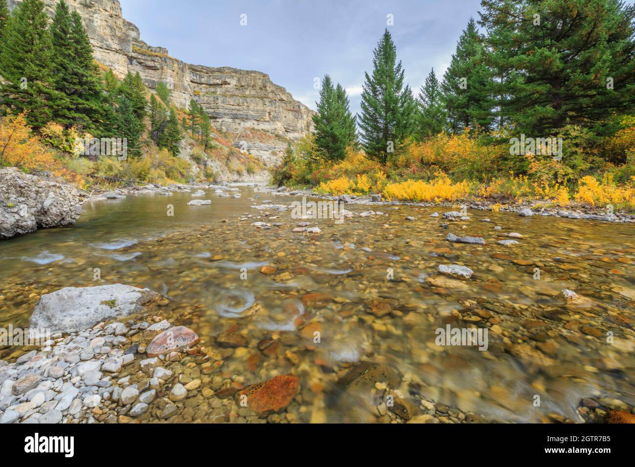 Kalksteinschlucht und Herbstfarben entlang des Belt Creek im Sluice Boxes State Park in der Nähe von Monarch, montana Stockfoto