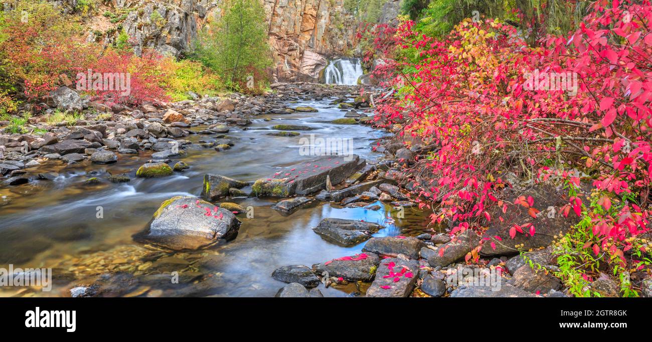Panorama der Herbstfarben entlang des tenderfoot Creek in der Nähe von weißen Schwefelquellen, montana Stockfoto