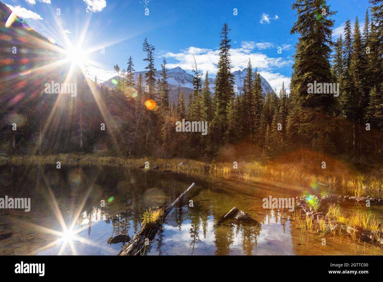 Landschaftlich schöner Blick auf den Glacier Lake mit den kanadischen Rocky Mountains Stockfoto