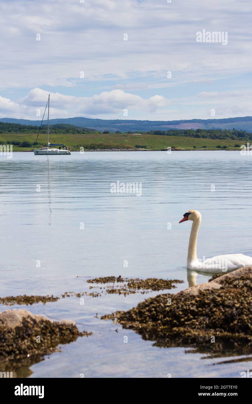 Schottische Feiertage Stockfoto