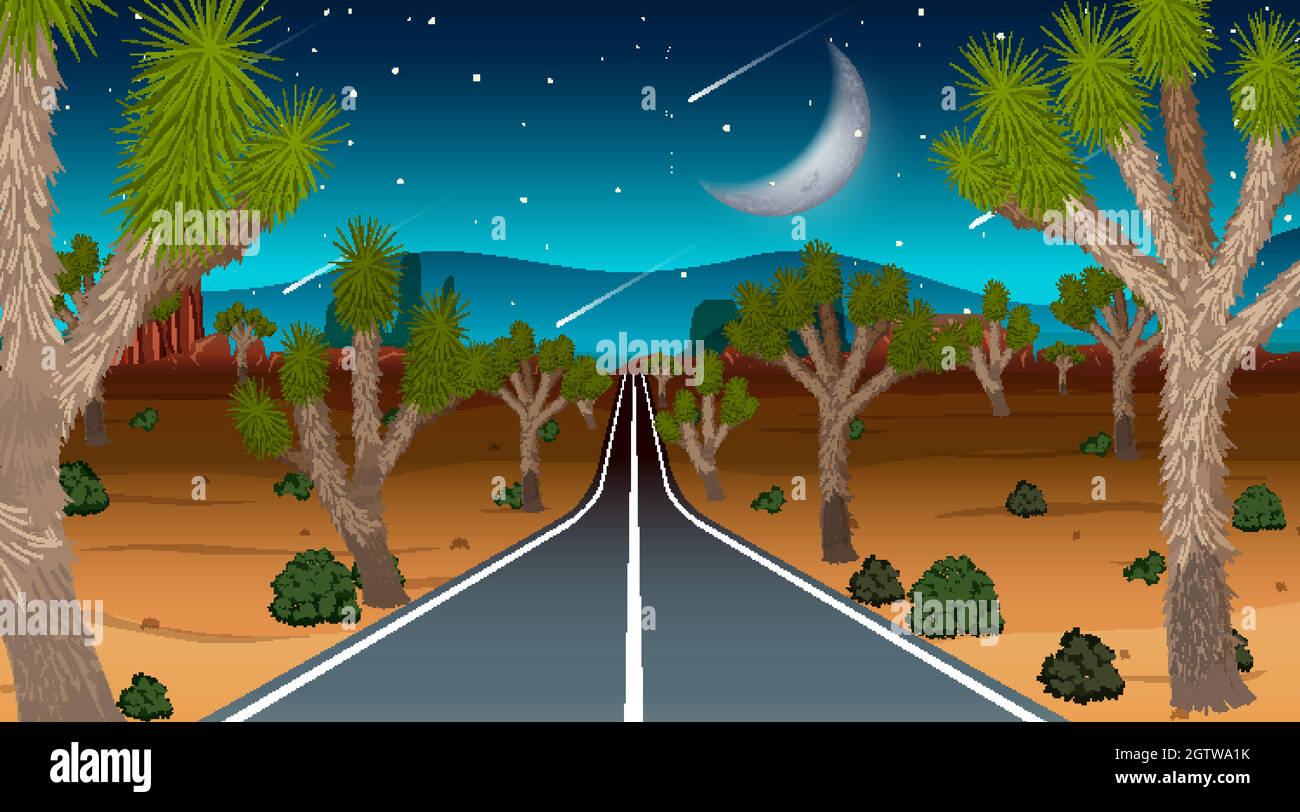 Lange Straße durch die Wüstenlandschaft bei Nacht Stock Vektor