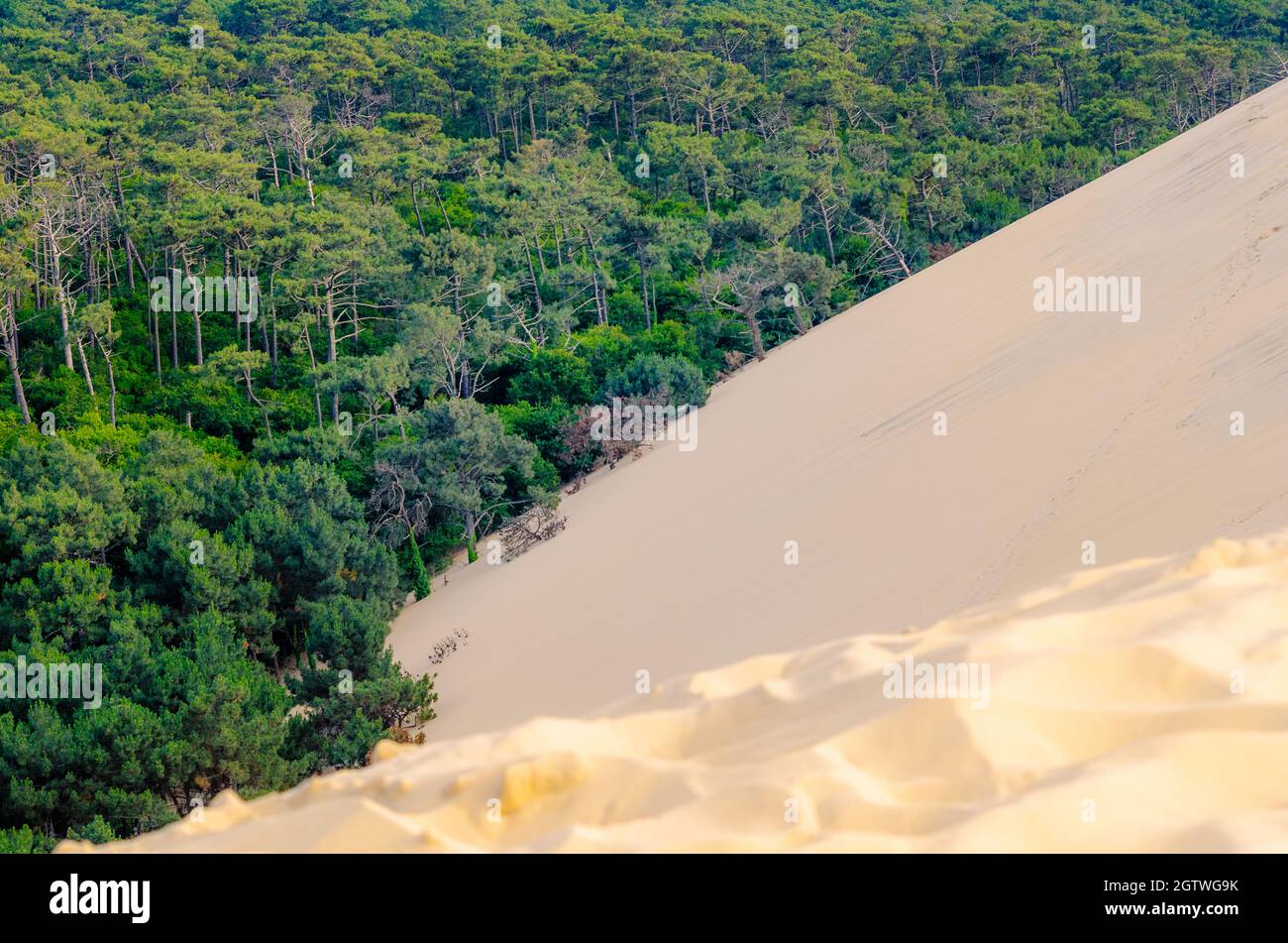 Die Düne von Pilat, auch Grande Dune du Pilat genannt, die höchste Sanddüne Europas. Stockfoto