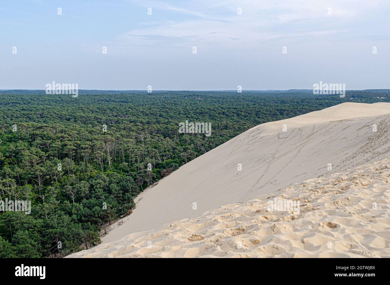 Die Düne von Pilat, auch Grande Dune du Pilat genannt, die höchste Sanddüne Europas. Stockfoto