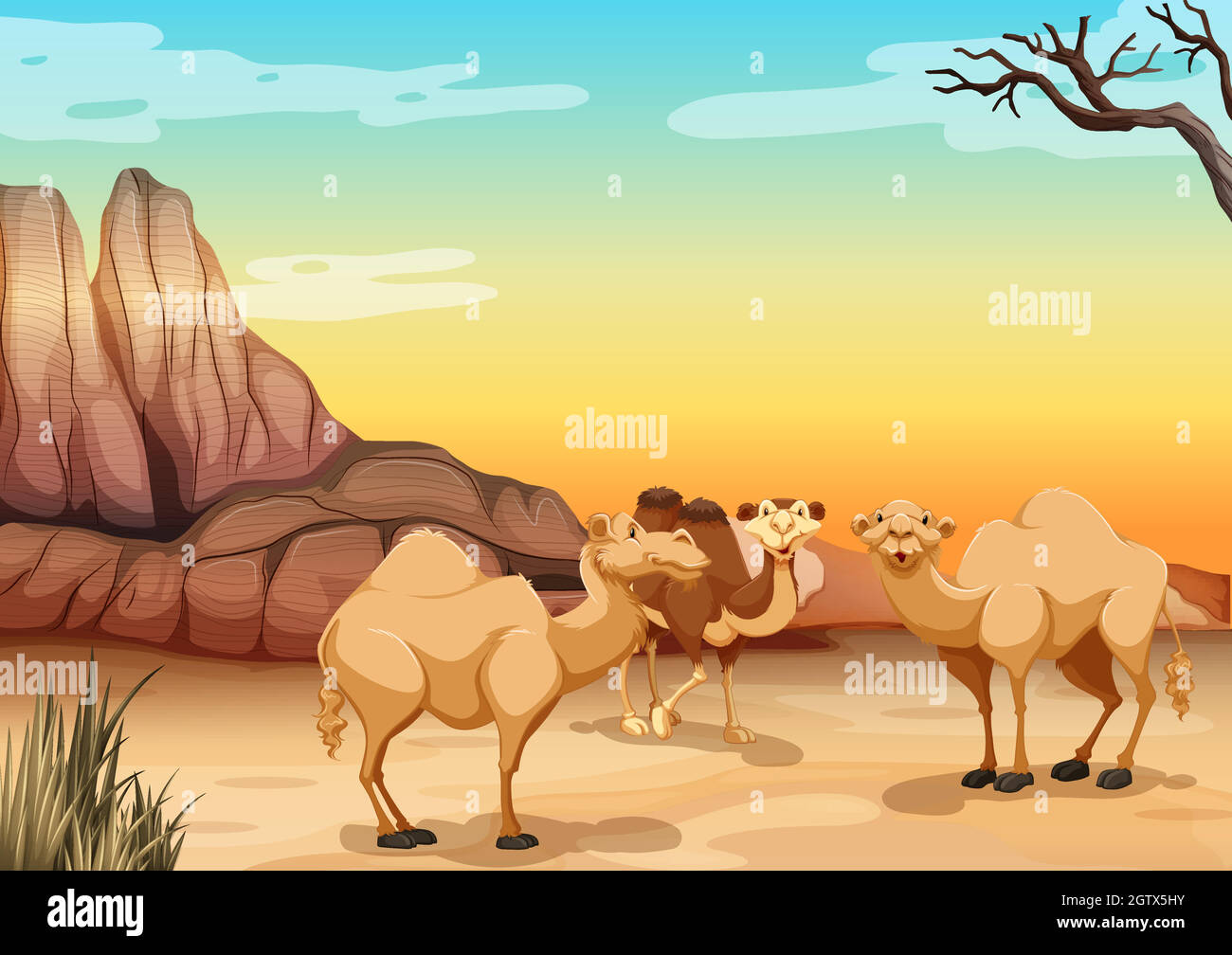 Kamele, die in der Wüste leben Stock Vektor
