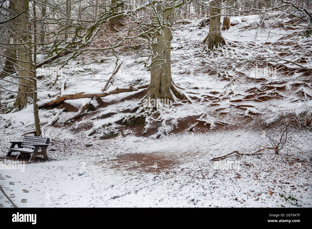 11/09/2021 Lagan Towpath Belfast im Schnee Stockfoto