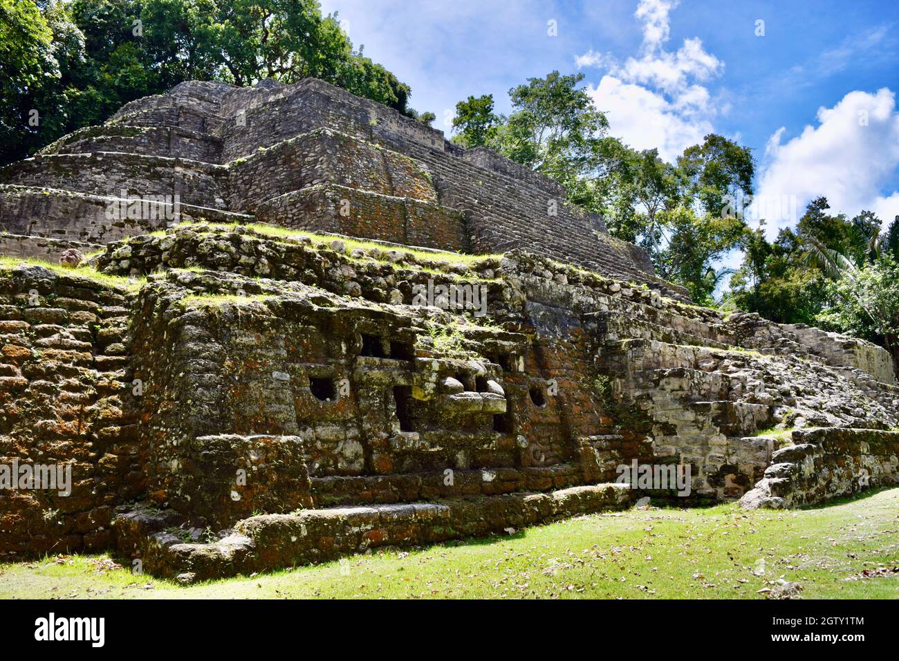 Nahaufnahme der Jaguar Steinschnitzerei an der Fassade des Jaguar Tempels, Lamanai. Stockfoto