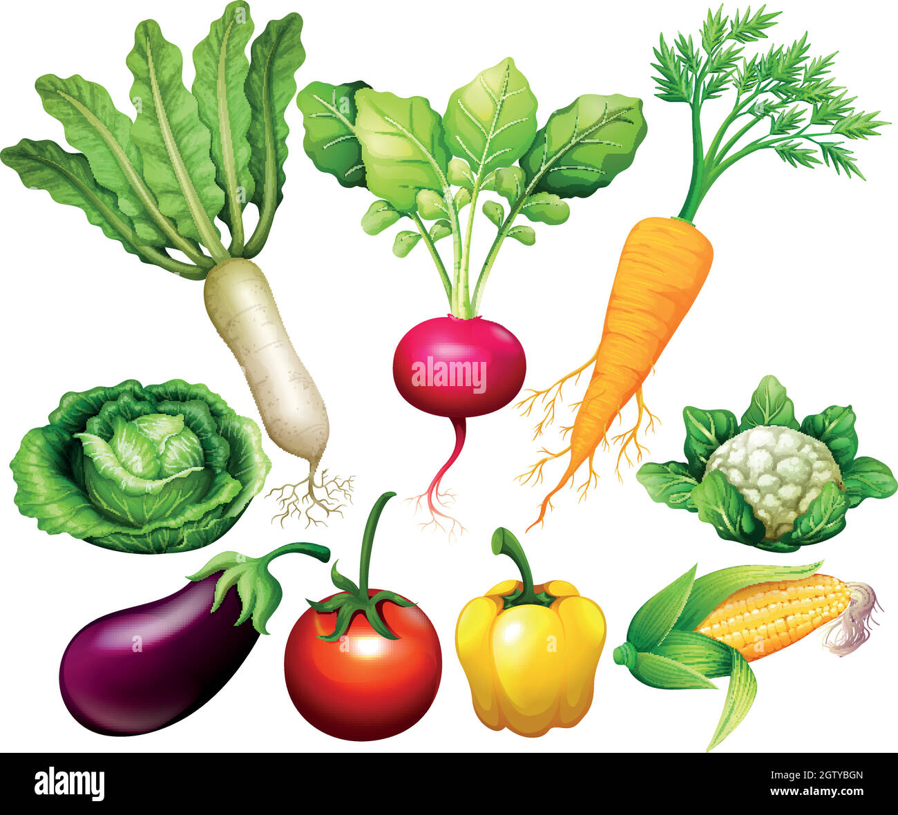 Alle Arten von Gemüse Stock Vektor