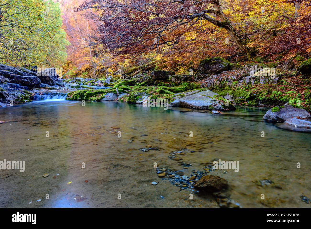 Wunderschöne Landschaft eines Flusses, der im Tal von Ordesa fließt (Herbst) Stockfoto