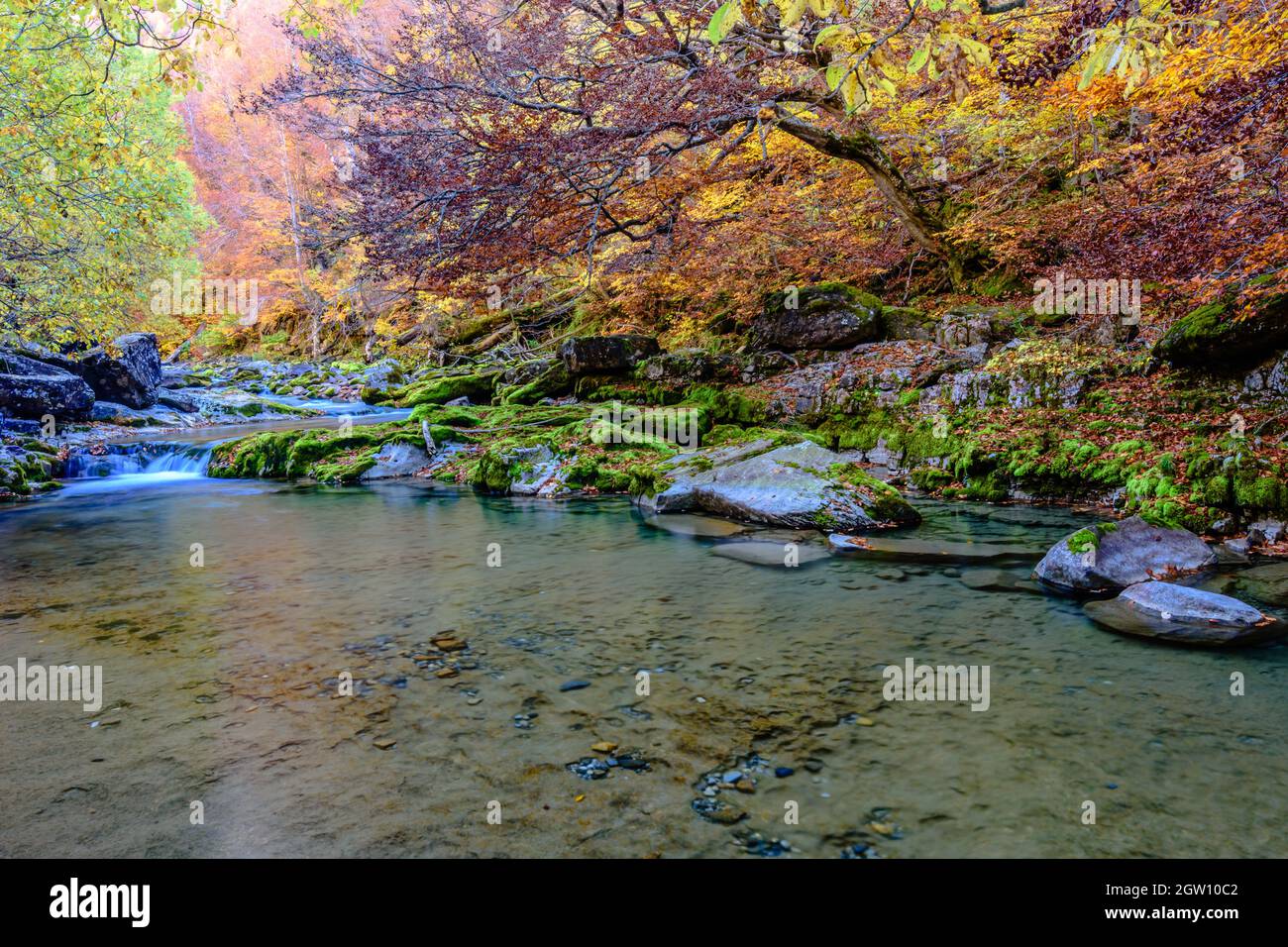 Schöner Herbstbach im Tal Stockfoto