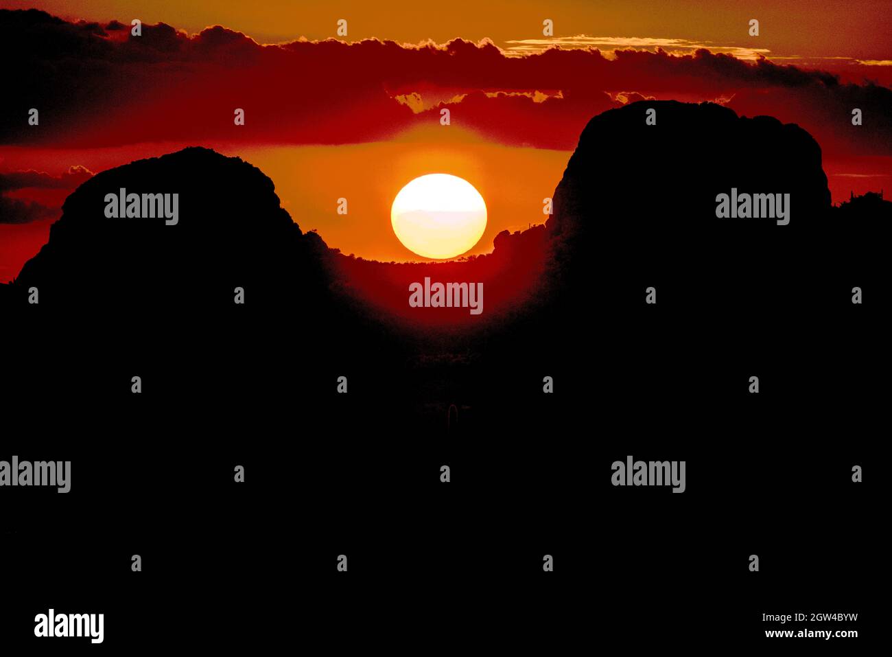 Sonnenuntergang, über Eulenkopfbüttern, Sonora-Wüste, Arizona Stockfoto
