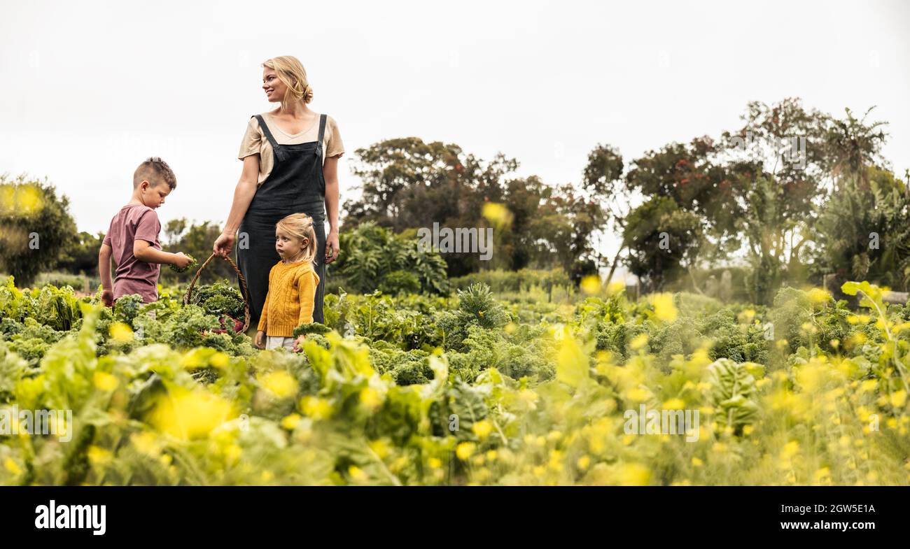 Frau sammelt mit ihren Kindern frisches Gemüse. Glückliche junge alleinerziehende Mutter hält einen Korb mit frischen Produkten, während sie in einem Bio-Garten steht. Stockfoto