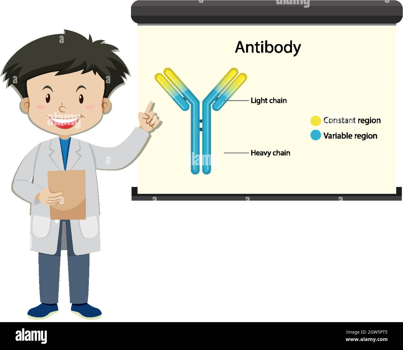 Ein Arzt mit Antikörper auf der Projektionsleinwand im Cartoon-Stil Stock Vektor