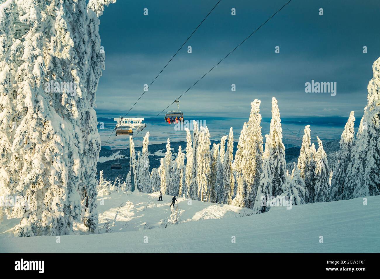 Skifahrer auf dem Skilift im verschneiten Wald. Majestätisches Skigebiet mit verschneiten Pinien und Skifahrer auf der Piste bei Sonnenuntergang, Poiana Brasov, Siebenbürgen, Stockfoto