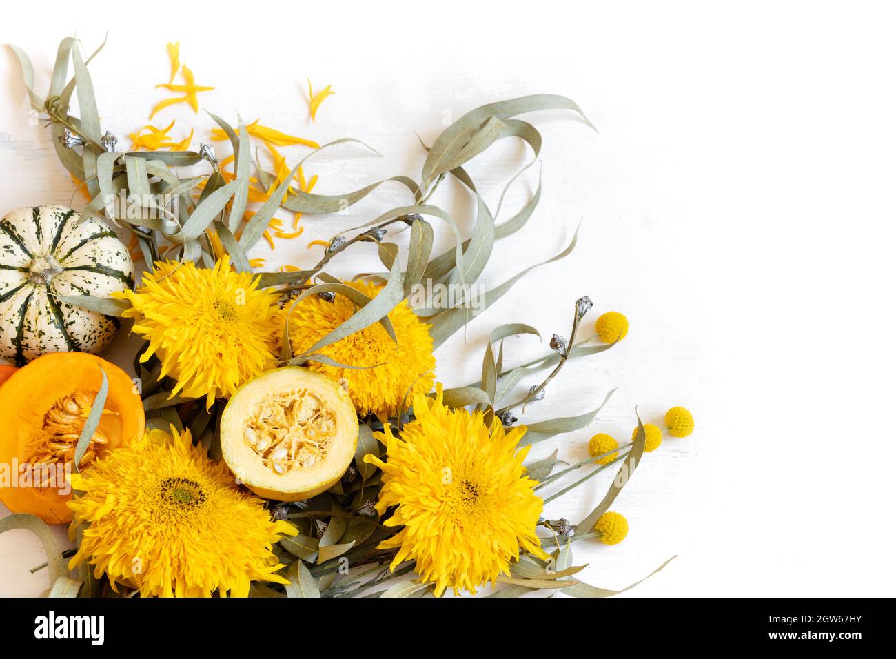 Festliches Herbstdekor aus Kürbissen und Blumen auf weißem Hintergrund, Kopierfläche. Konzept des Erntedankfestes oder Halloween. Stockfoto