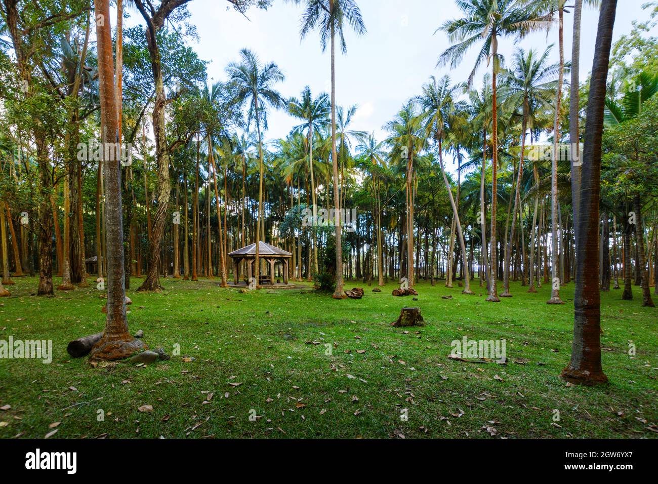 Picknickplatz in Anse des Cascades, Reunion Island Stockfoto