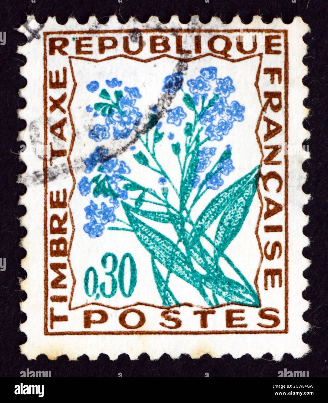 FRANKREICH - UM 1964: Eine in Frankreich gedruckte Marke zeigt Forget-me-not, Myosotis, Flower, um 1964 Stockfoto