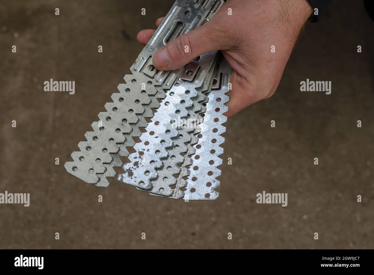Man hält lange perforierte verzinkte Stahlplatten. Befestigung für den Bau von Gipskartonrahmen. Trockenbauhalterungen. Selektiver Fokus. Stockfoto