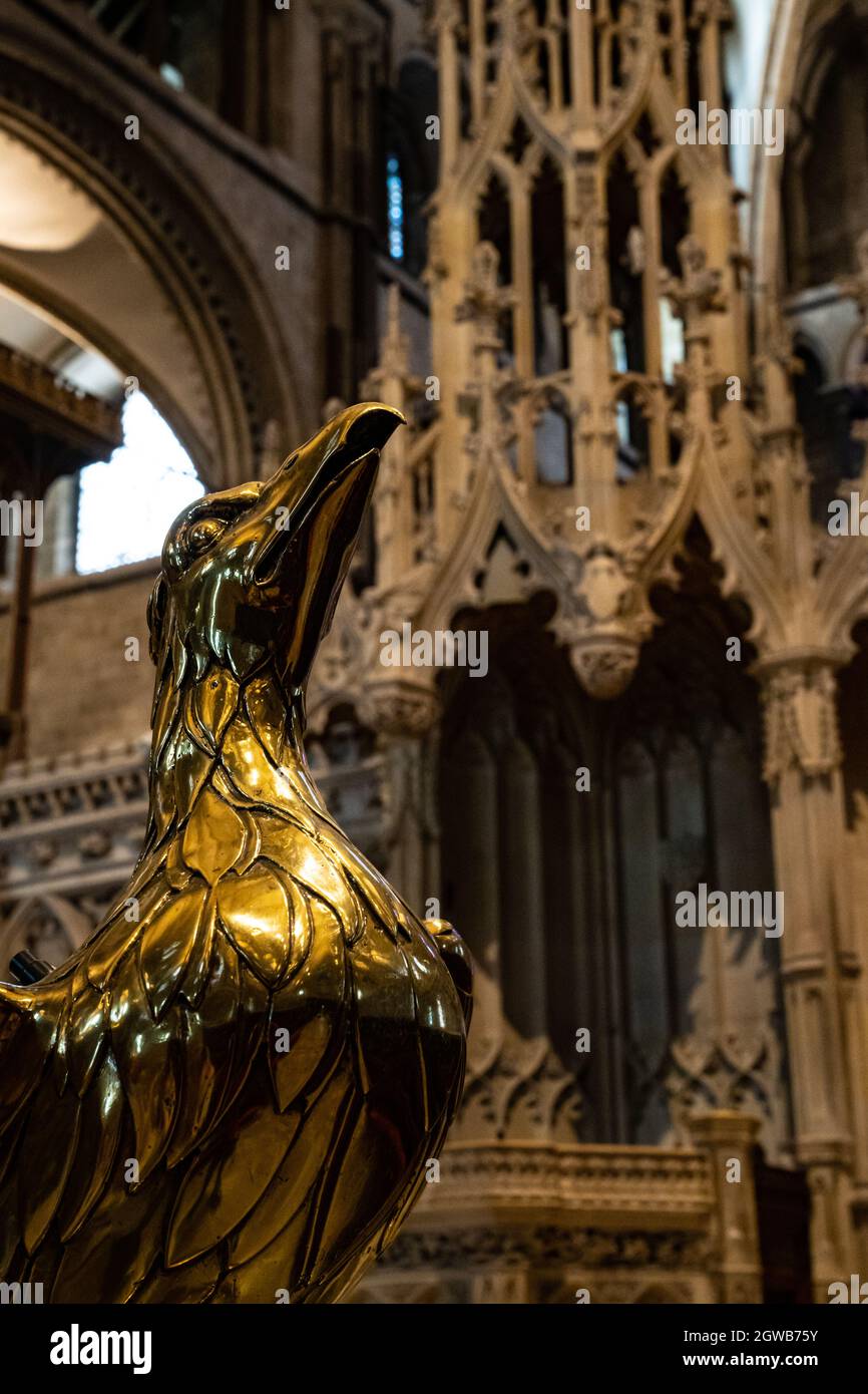 Bronze-Redneradler in der Kathedrale von Canterbury mit gotischer Architektur Stockfoto