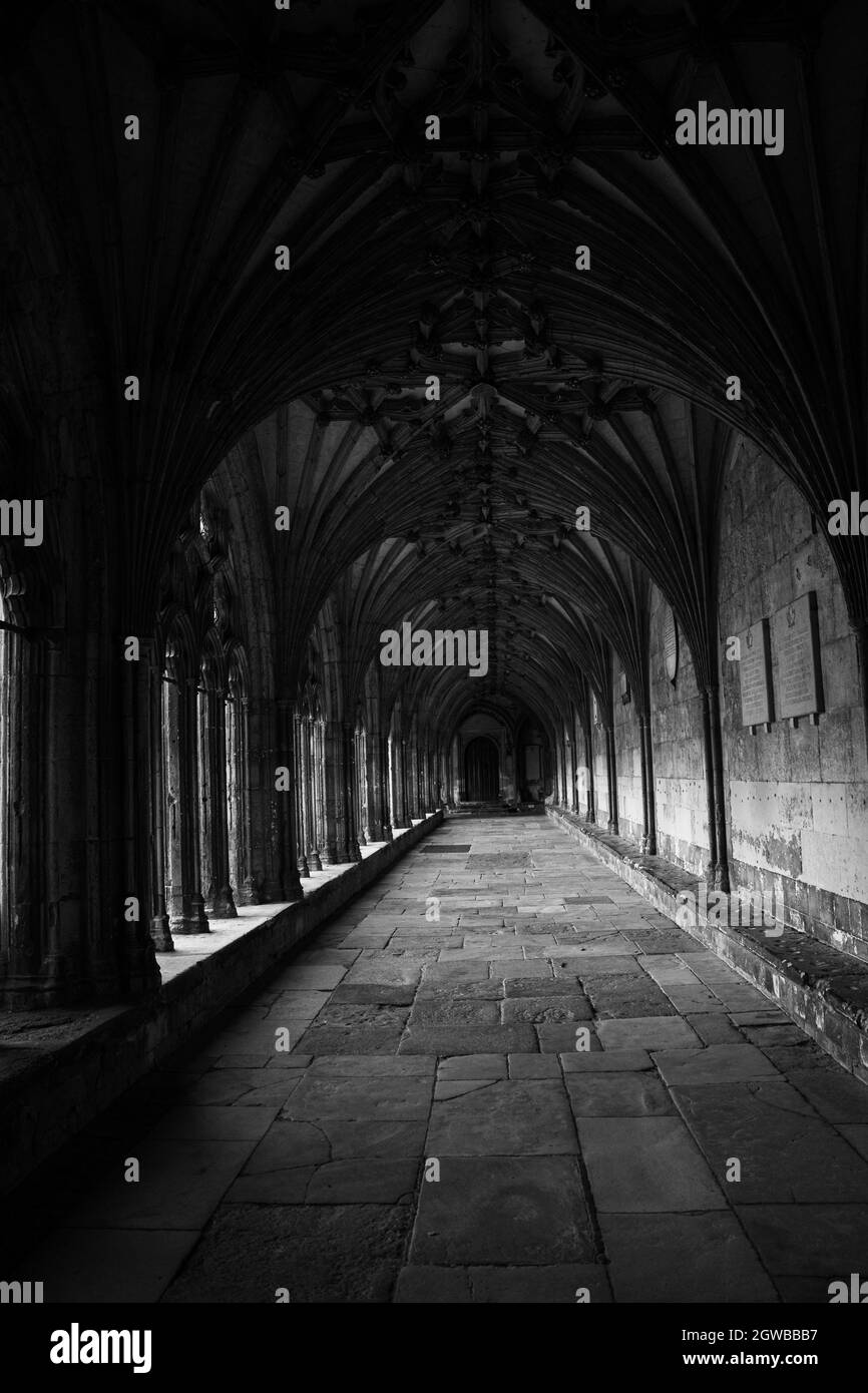 Gotischer Kreuzgang mit Rippengewölbe und Steinsäulen in der Kathedrale von Canterbury Stockfoto