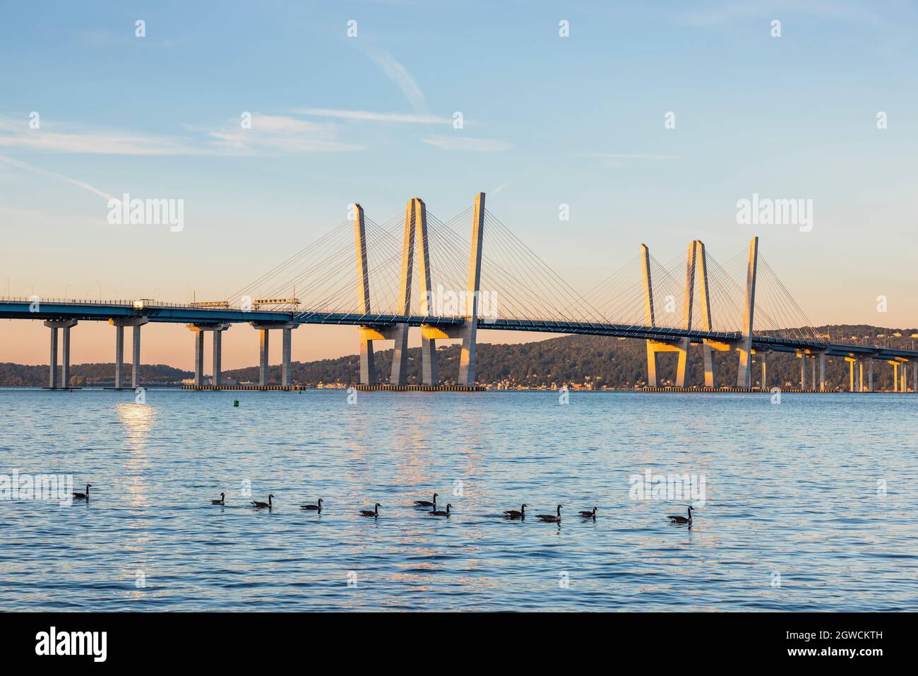 Ein Schwarm Kanadagänse schwimmt kurz nach Sonnenaufgang auf dem Hudson River, vor den sonnendurchfluteten Türmen der Governor Mario M. Cuomo Bridge. Stockfoto