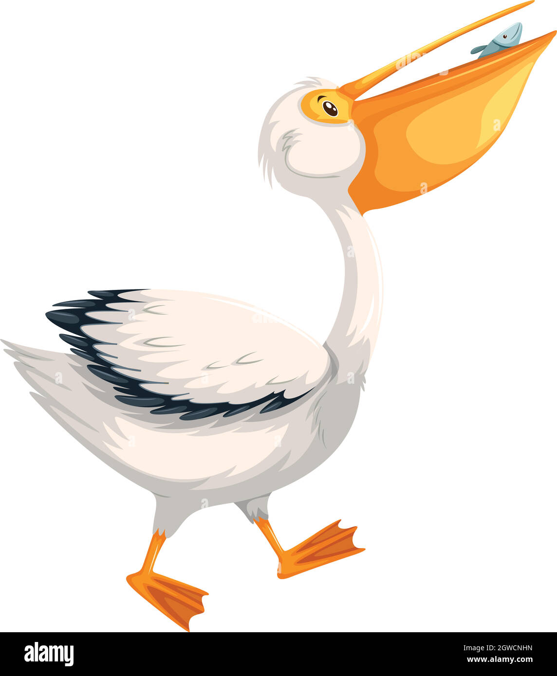 Ein pelikanisches Zeichen auf weißem Hintergrund Stock Vektor