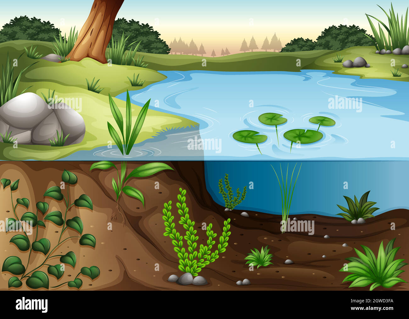 Teich flussufer kaufen Alamy