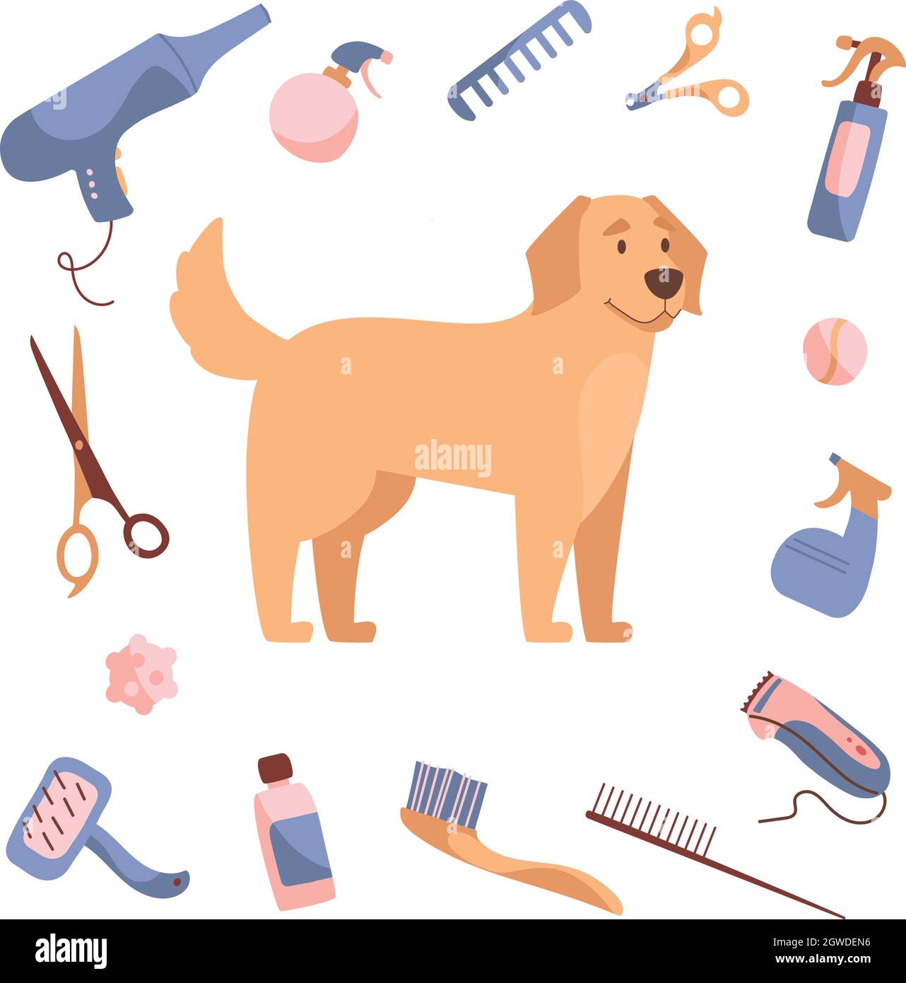 Hundepflege im Cartoon-Stil. Golden Retriever und Pflegeprodukte, Shampoos,  Drahtschneider, Kämme, Scheren. Vektordarstellung auf weißem Hintergrund  isoliert Stock-Vektorgrafik - Alamy