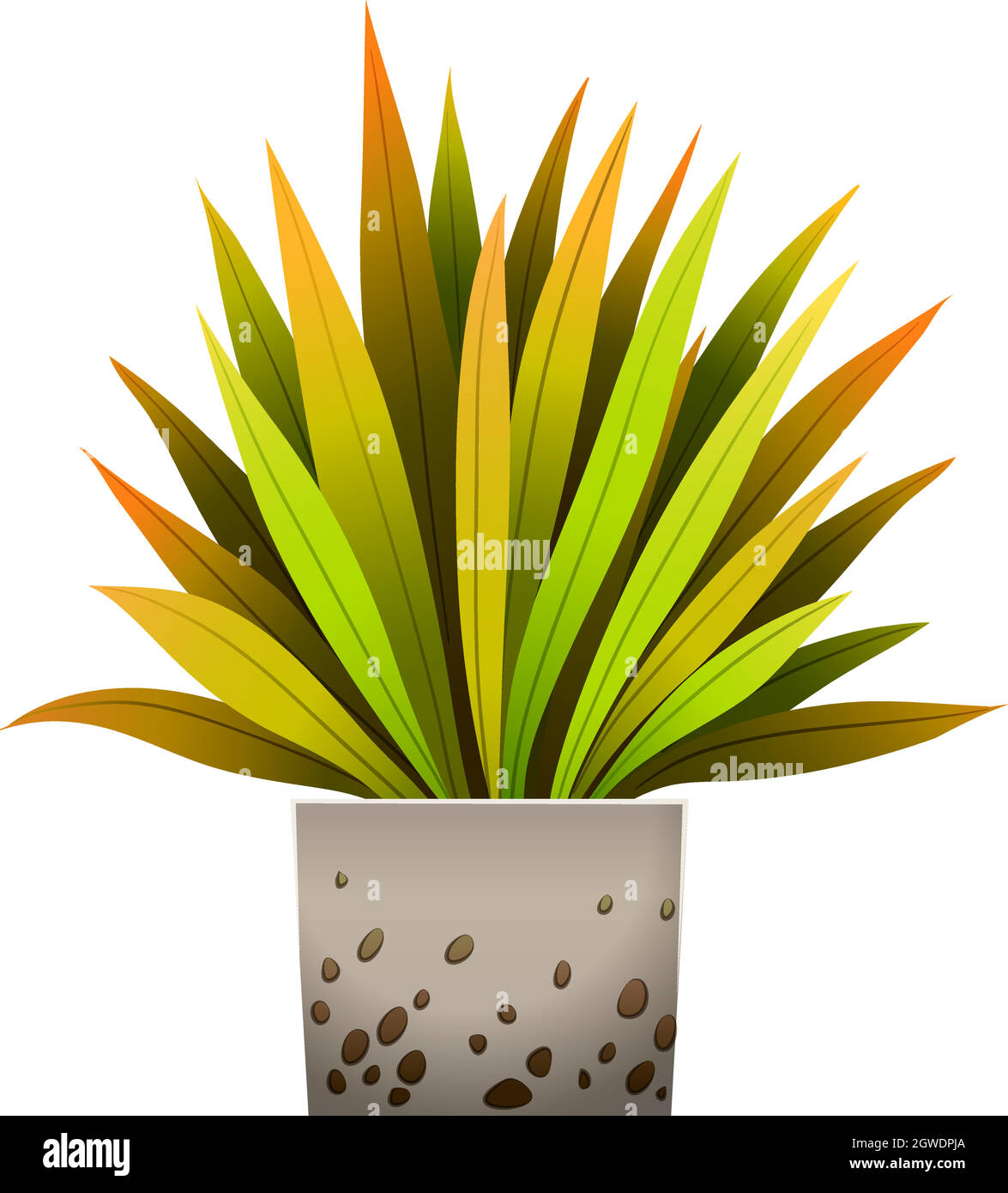 Eine dekorative Pflanze Stock Vektor