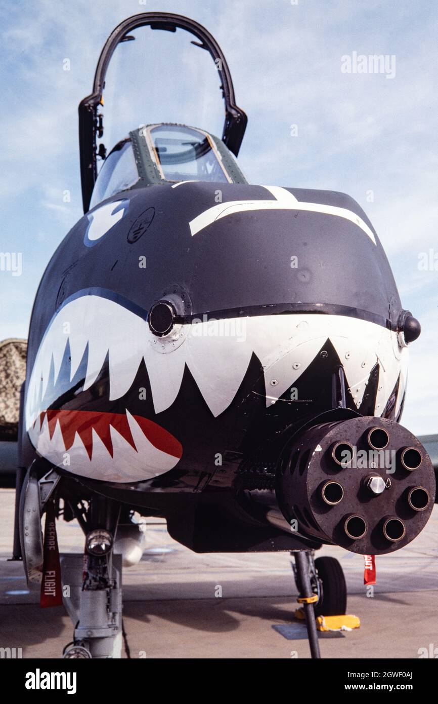 Vorderansicht eines Fairchild Republic A-10 Thunderbolt II auf der Holloman AFB, zeigt die 30mm GAU Drehkanone in der Nase. Stockfoto