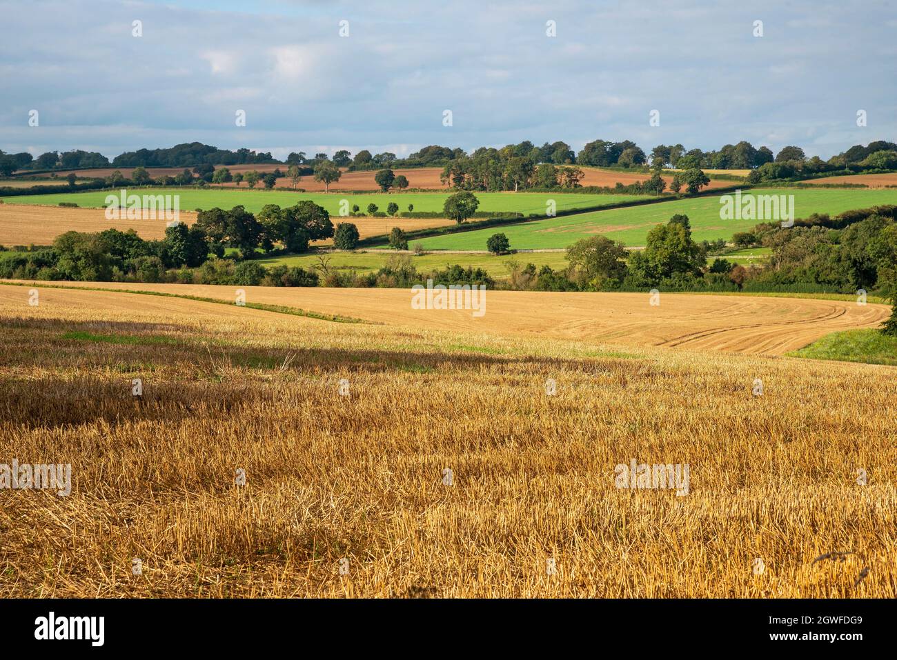 Gloucestershire, England, Großbritannien. 2021. Spätsommerlandschaftansicht über Ackerland in den Cotswolds mit Stoppeln im Vordergrund. Stockfoto