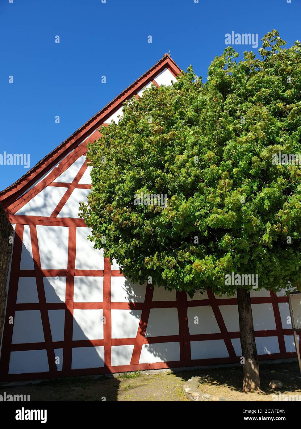 Deutsches rotes Fachwerkhaus mit Baum vor blauem Himmel Stockfoto