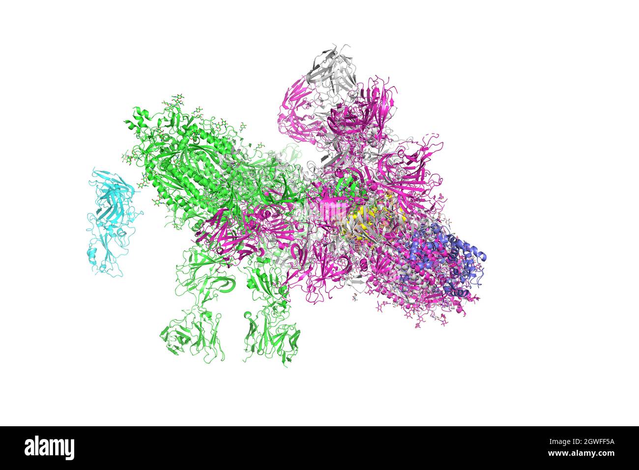 SARS-CoV-2 Spike Glycoprotein. Die Struktur des Komplexes mit Protein S, das die „Krone“ des Coronavirus bildet, 3d-Rendering. Stockfoto
