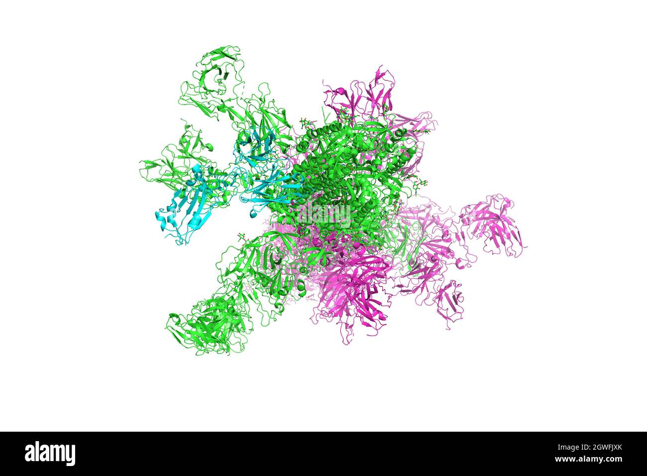 SARS-CoV-2 Spike Glycoprotein. Die Struktur des Komplexes mit Protein S, das die „Krone“ des Coronavirus bildet, 3d-Rendering. Stockfoto