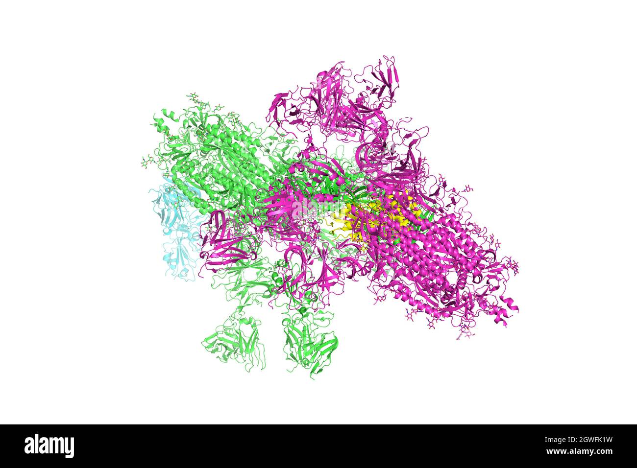 SARS-CoV-2 Spike Glycoprotein. Die Struktur des Komplexes mit Protein S, das die „Krone“ des Coronavirus bildet, 3d-Rendering. Stockfoto