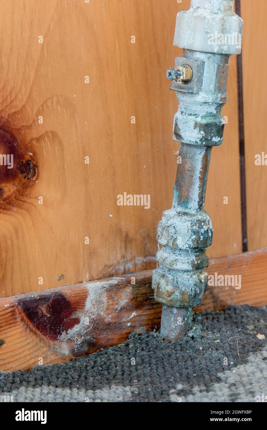 Alte undichte Leitung mit gebrochener Schraube des Absperrventils, die Wasser- und Kalkschäden auf altem Teppich und Holzverkleidung zeigt Stockfoto