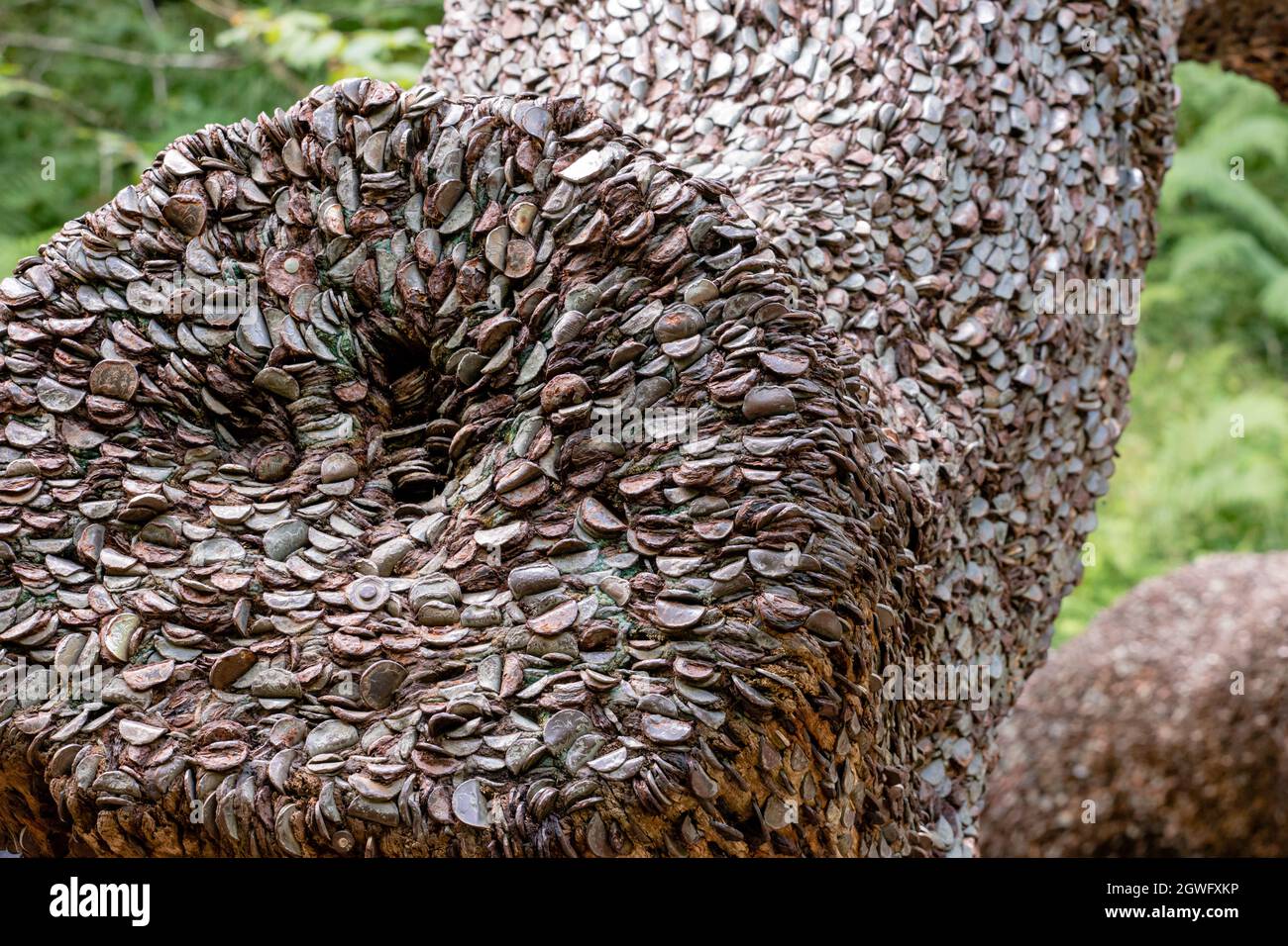 Baumstamm mit Kupfer- und Silbermünzen eingehämmert für Glück und Heilung - ein Wunschgeldbaum Stockfoto