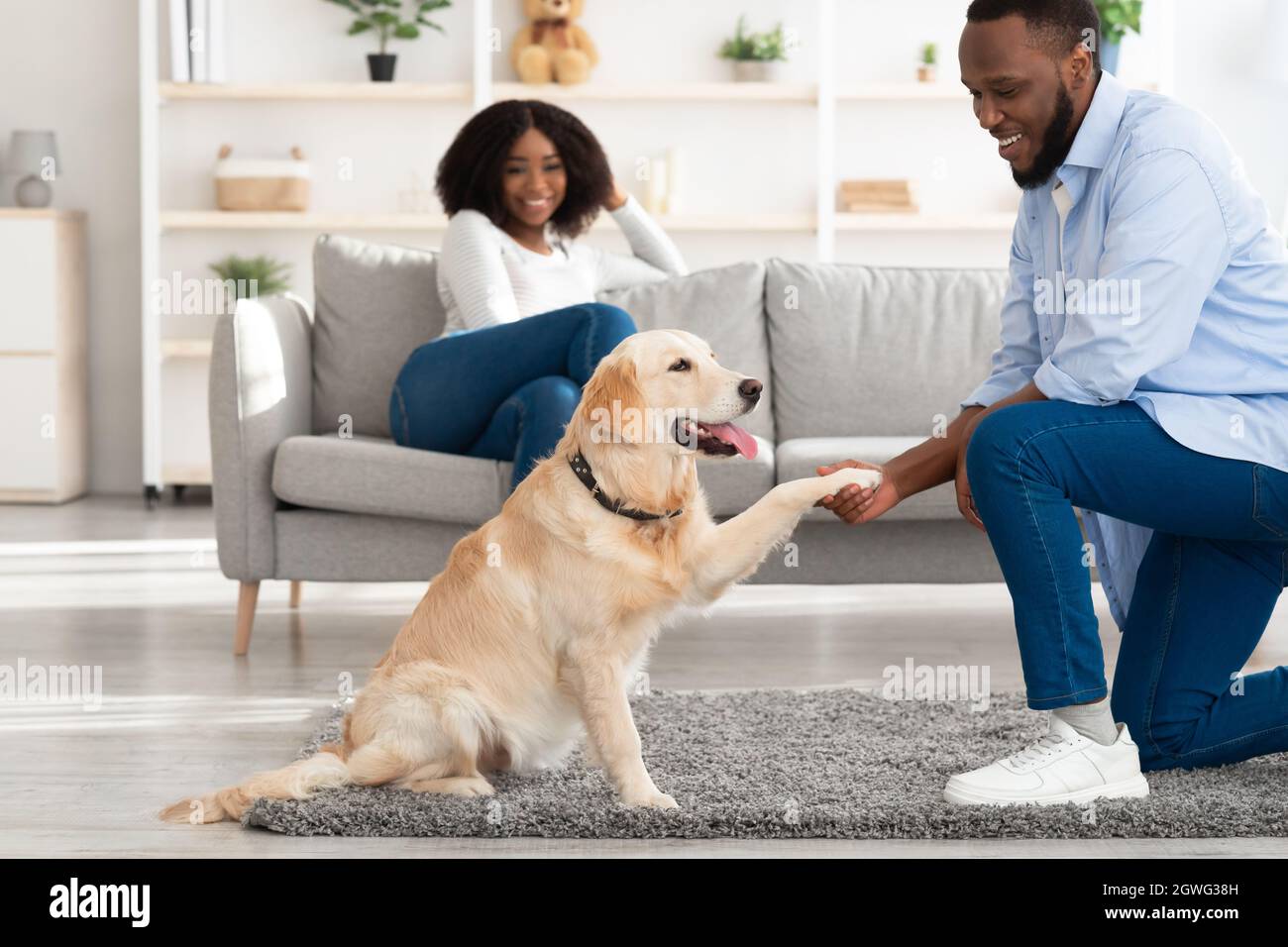 Konzept der menschlichen und tierischen Verbindung. Gehorsamer Hund, der seinem Besitzer im Wohnzimmer Pfote gibt, fröhlicher, fröhlicher schwarzer Kerl, der zu Hause sein Haustier trainiert und lächelt Stockfoto