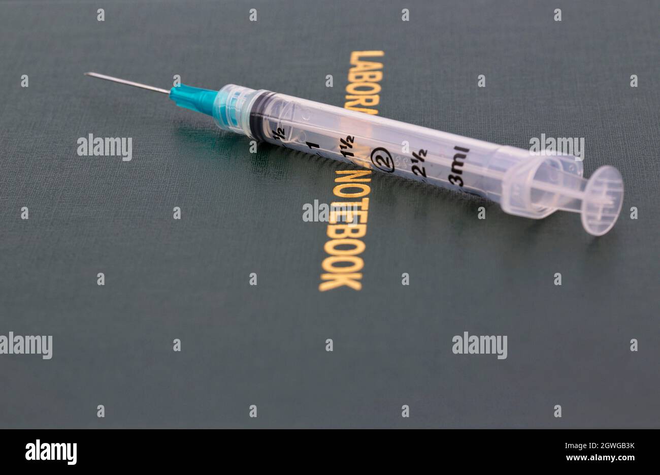Die Injektionsnadel, die auf das wissenschaftliche Laborbuch gelegt wird, spiegelt wider, dass Wissenschaft und Medizin in den Bereichen Gesundheitswesen, Pharmazie und Medika datenbasiert sind Stockfoto