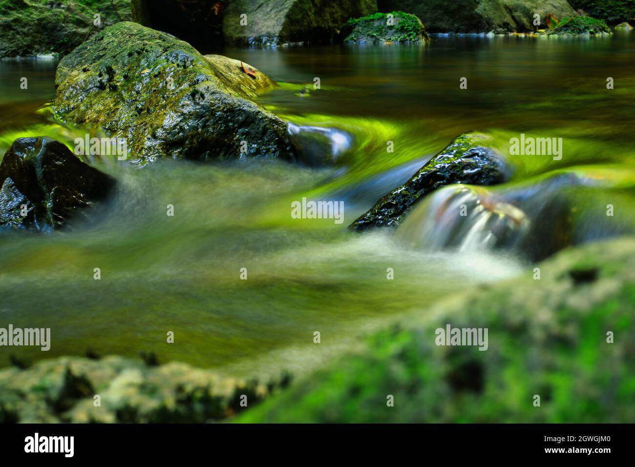Waldfluss. Wasser über grünen moosigen Felsen. Langzeitfotografie, Bewegungsaufnahmen. Wellness und Wald Baden Hintergrund. Stockfoto