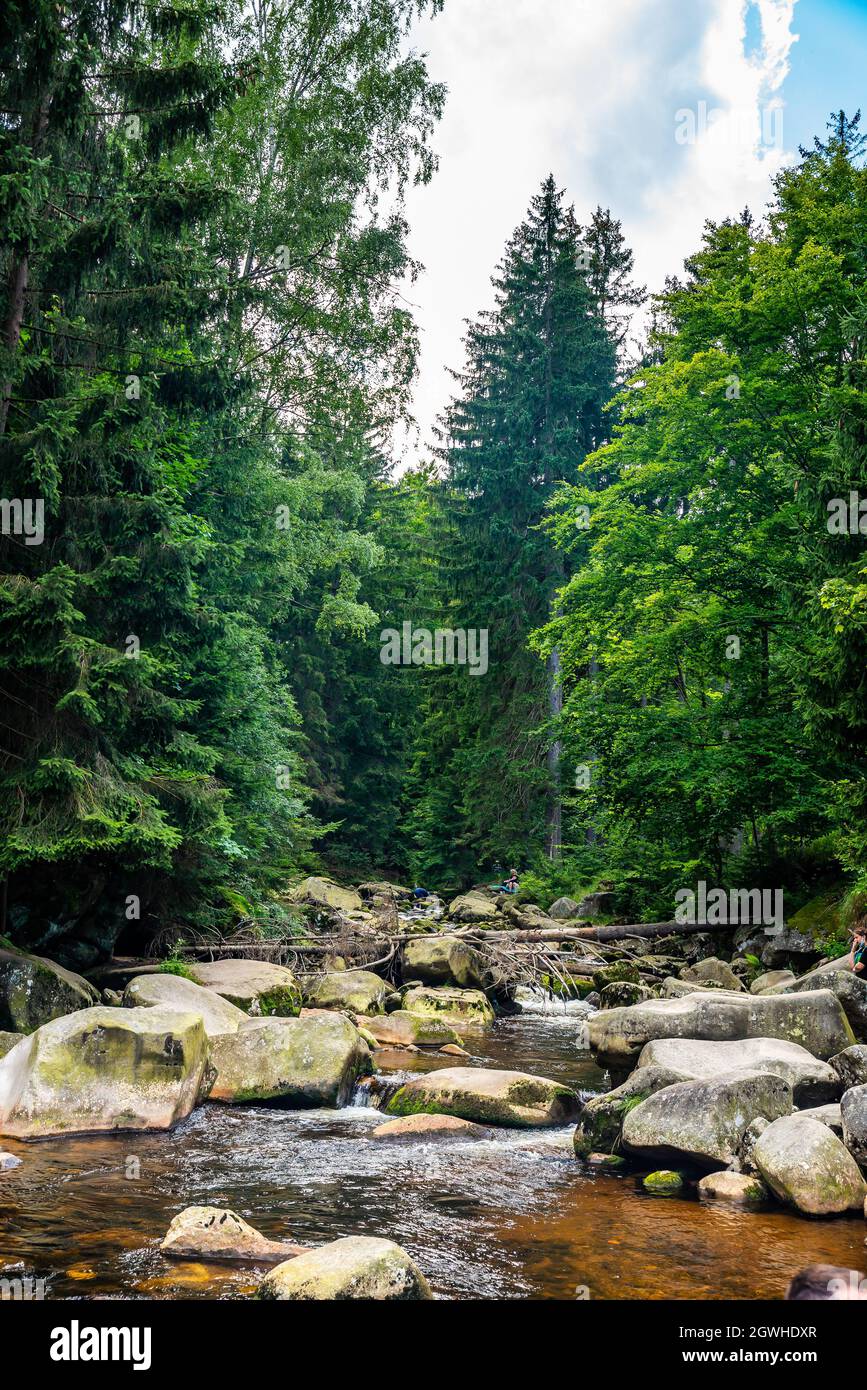 Krucze-Felsen im Riesengebirge im Sommer in Szklarska Poreba Stockfoto